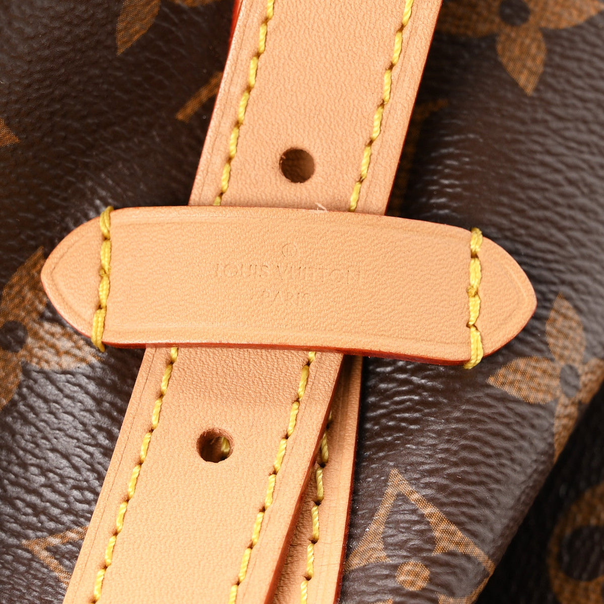 Monogram Carryall MM