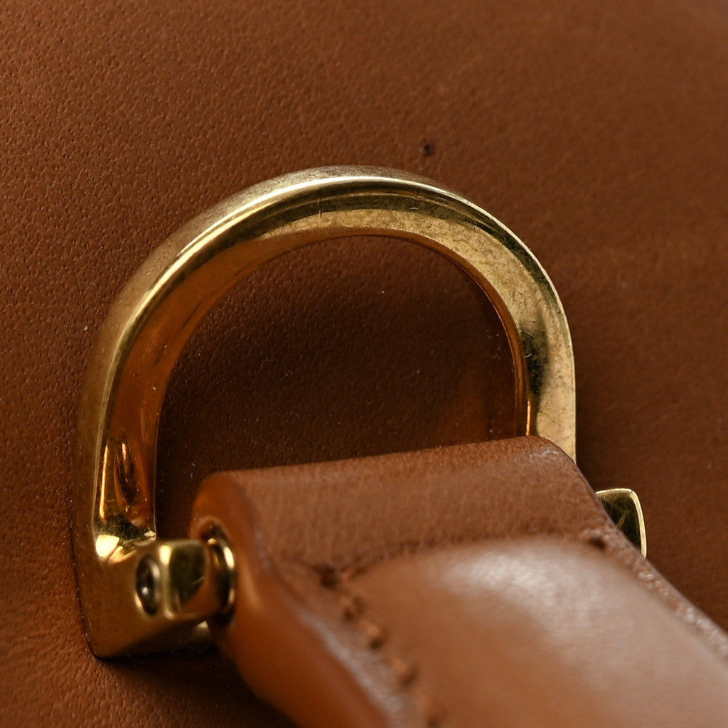 Canvas Calfskin Mini Gaby Vanity Case Desert Dust Brick