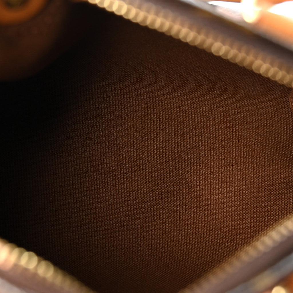 Monogram Nano Speedy