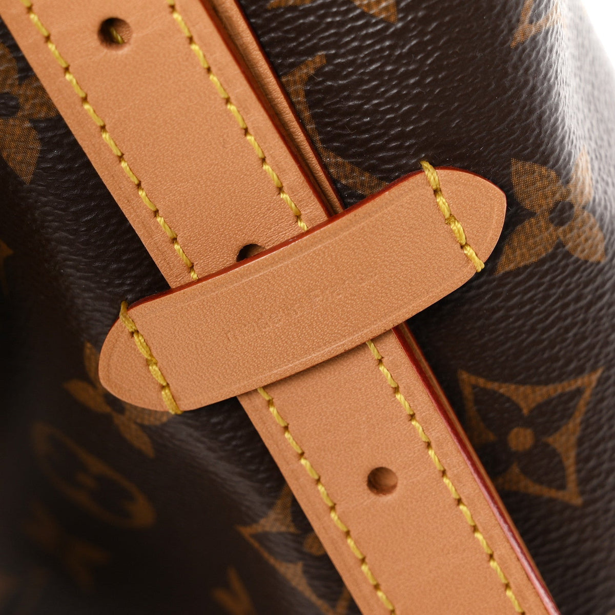 Monogram Carryall MM