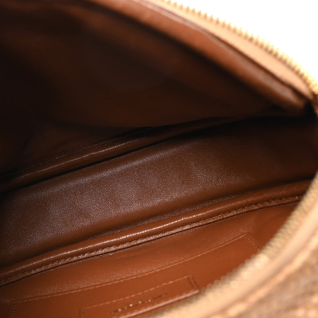 Raffia Calfskin Round Camera Bag Golden Ecru Brick