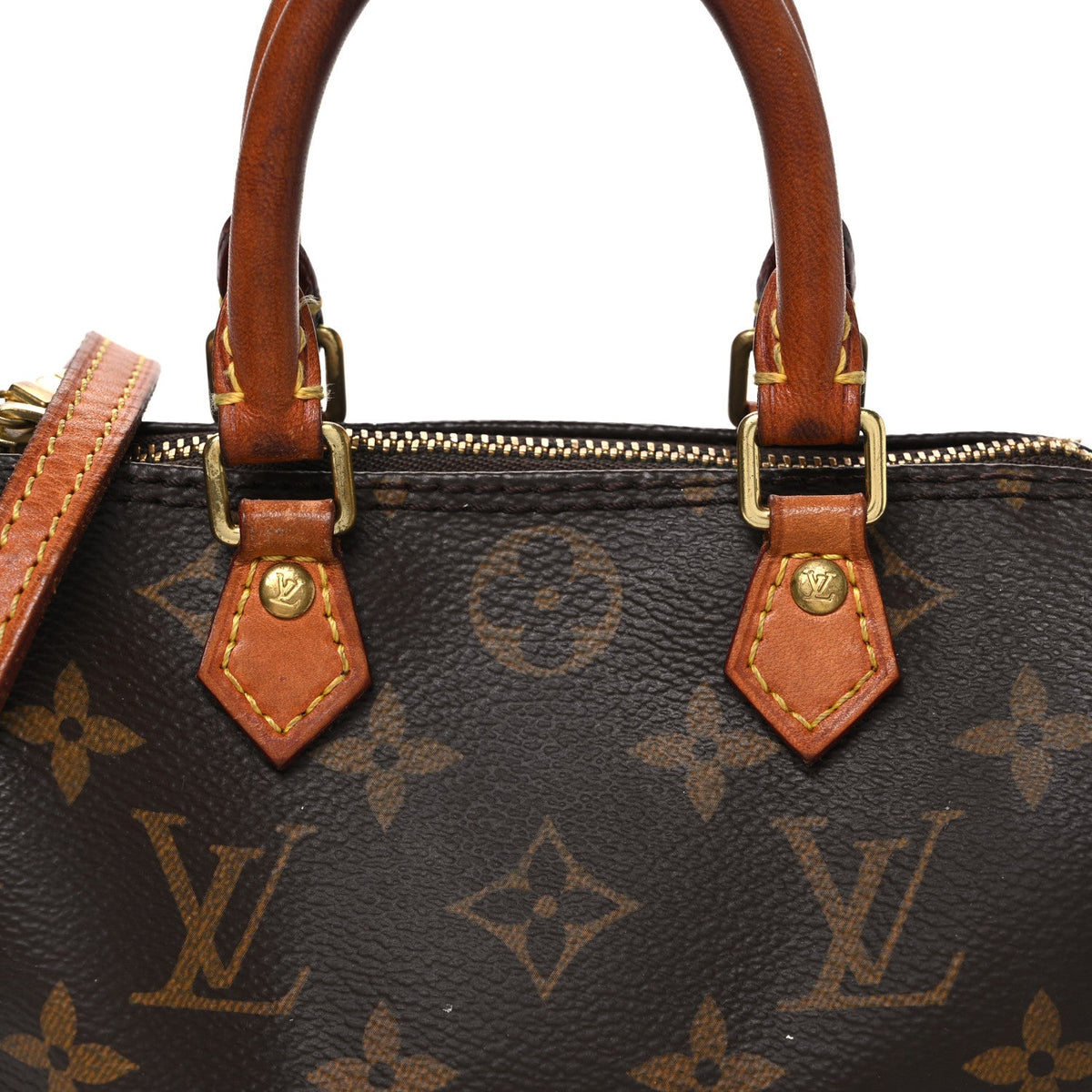 Monogram Nano Speedy