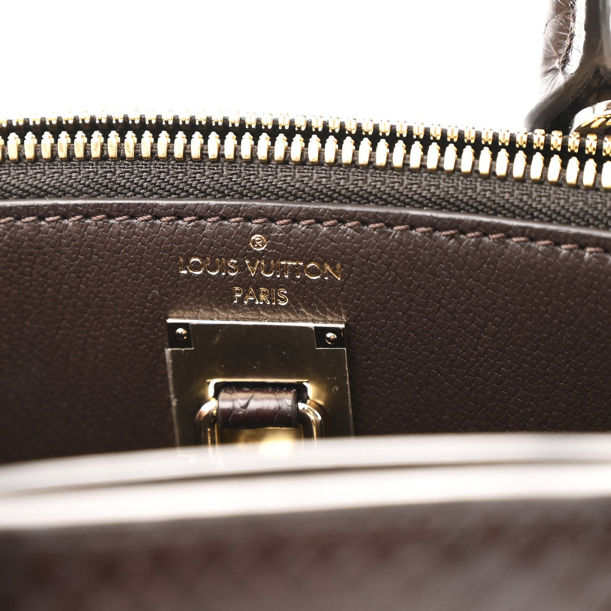 Snakeskin Monogram City Steamer Mini Brown