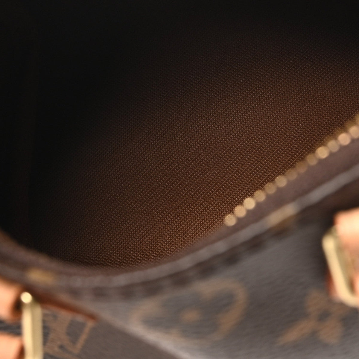 Monogram Nano Speedy