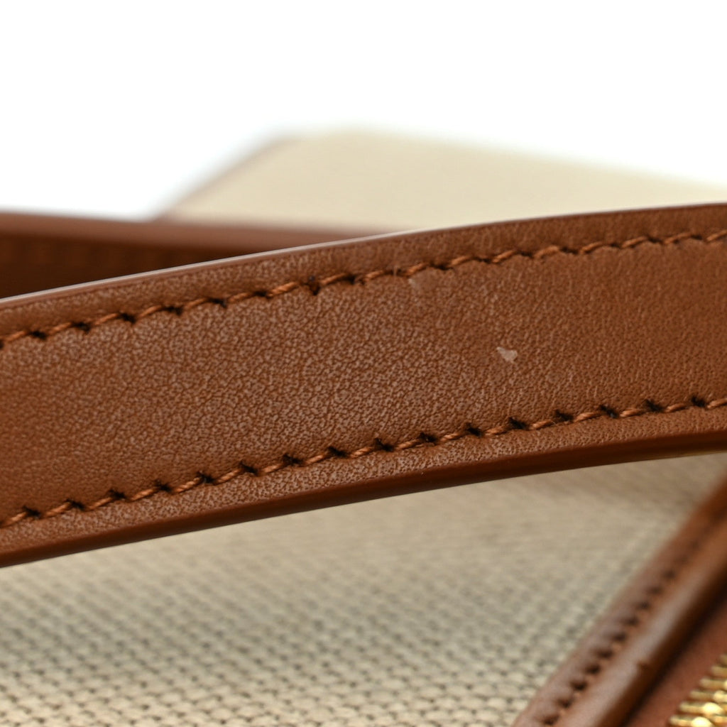 Canvas Calfskin Mini Gaby Vanity Case Desert Dust Brick