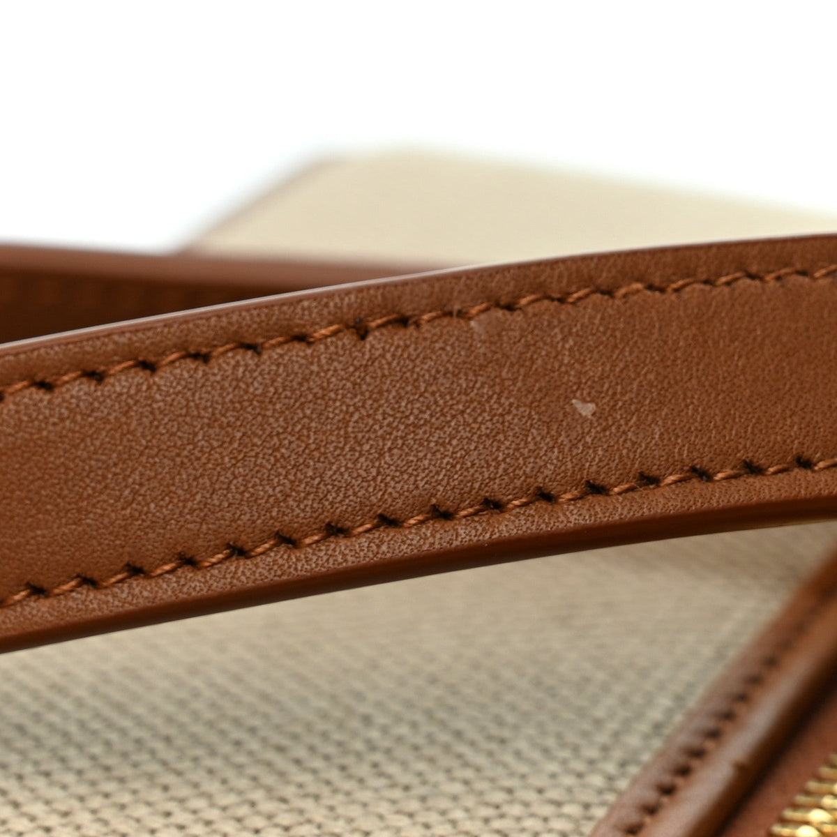 Canvas Calfskin Mini Gaby Vanity Case Desert Dust Brick