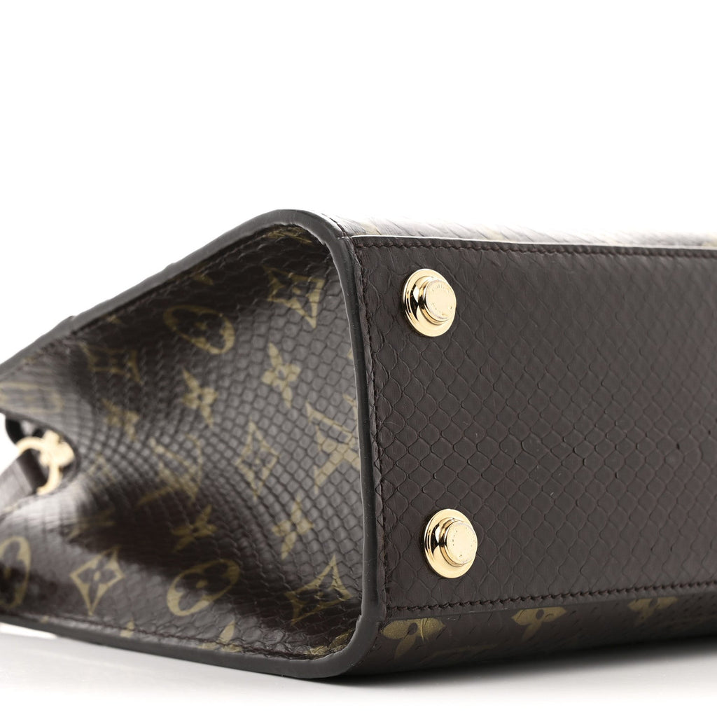 Snakeskin Monogram City Steamer Mini Brown