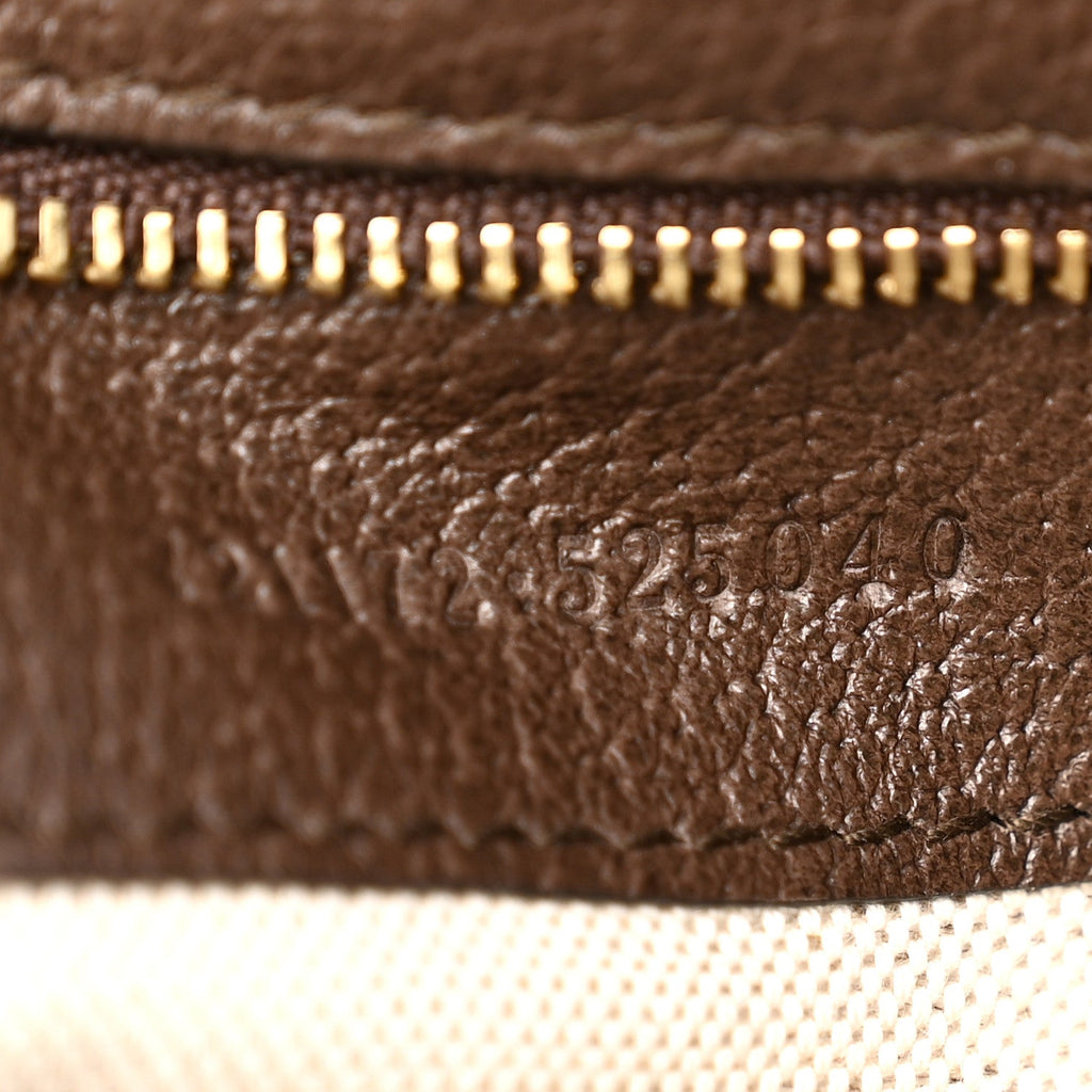 GG Supreme Monogram Textured Dollar Calfskin Web Medium Blondie Top Handle Shoulder Flap Bag Beige Ebony New Acero