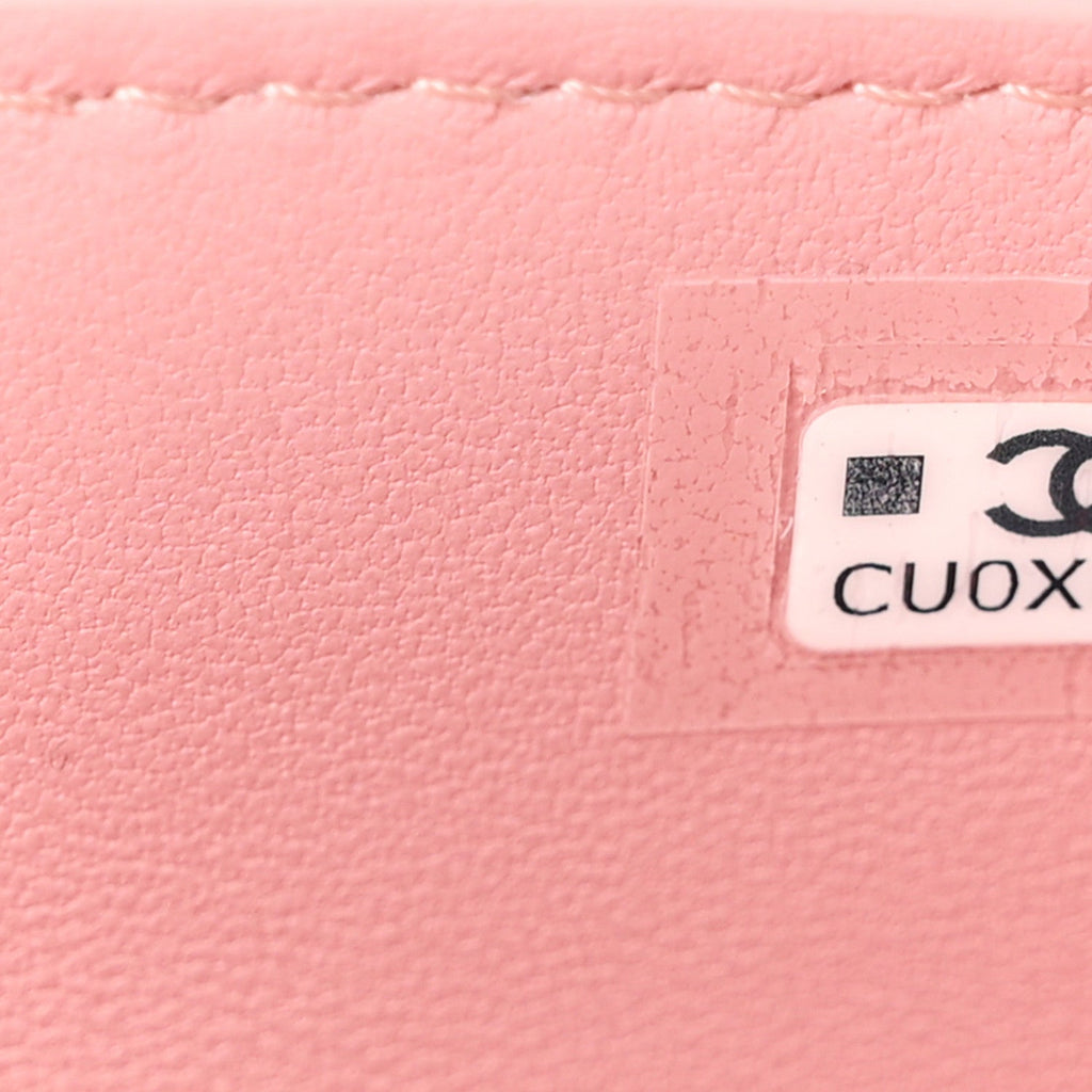 Calfskin Crocodile Embossed Crococo Exoticoco Vanity With Chain Light Pink