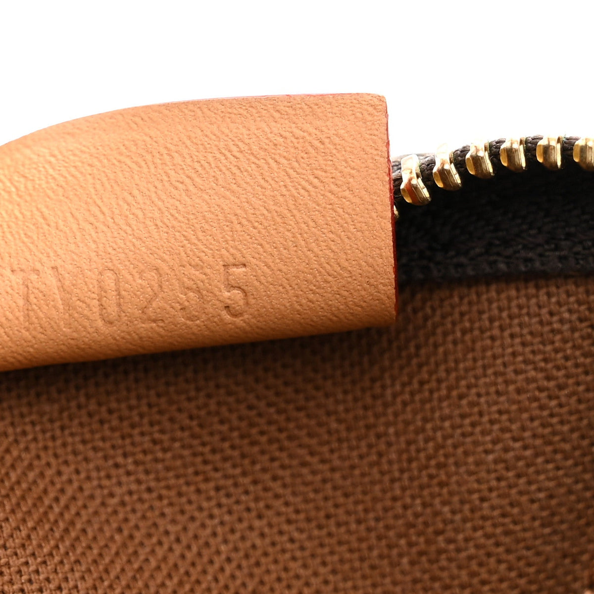 Monogram Nano Speedy Bandouliere