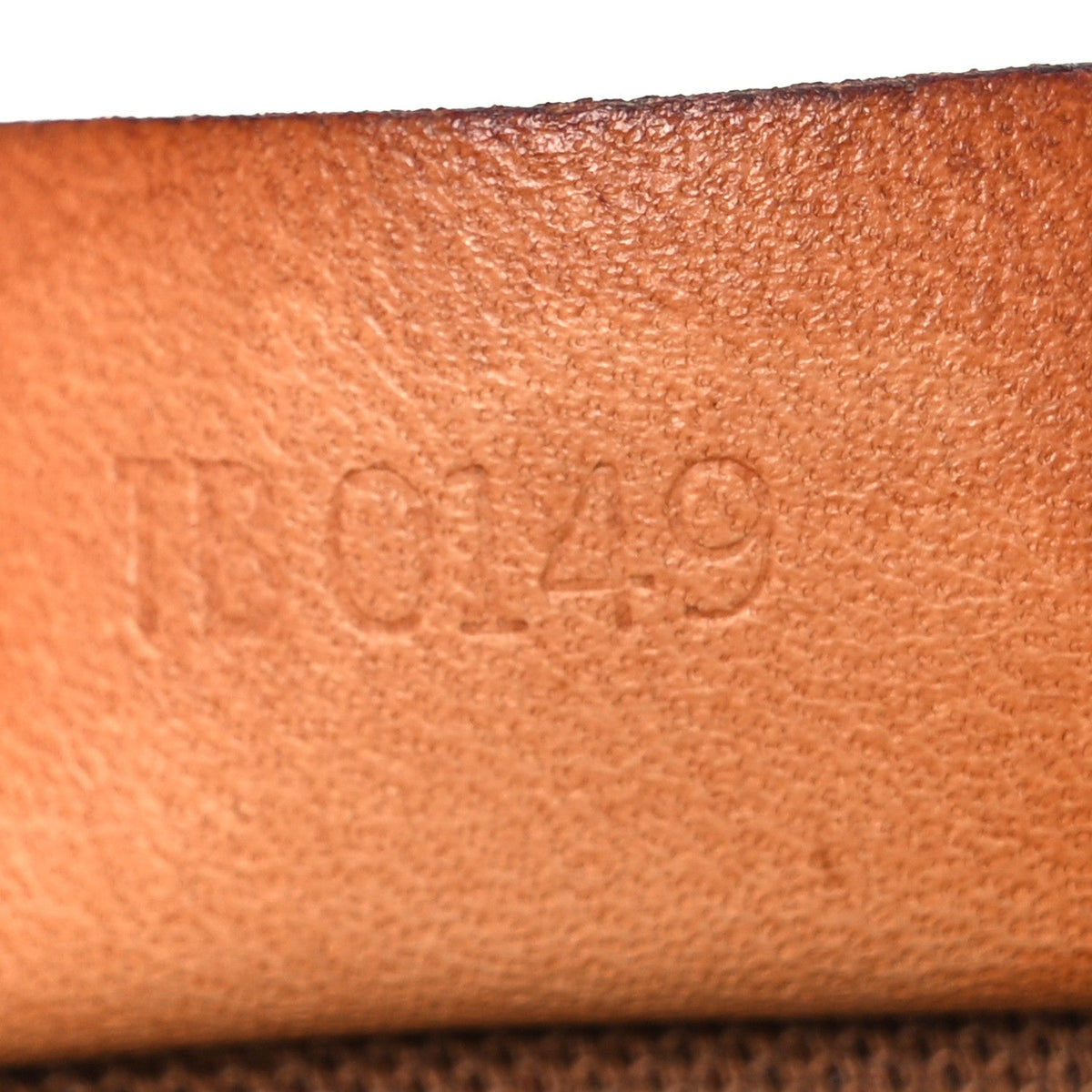 Monogram Nano Speedy
