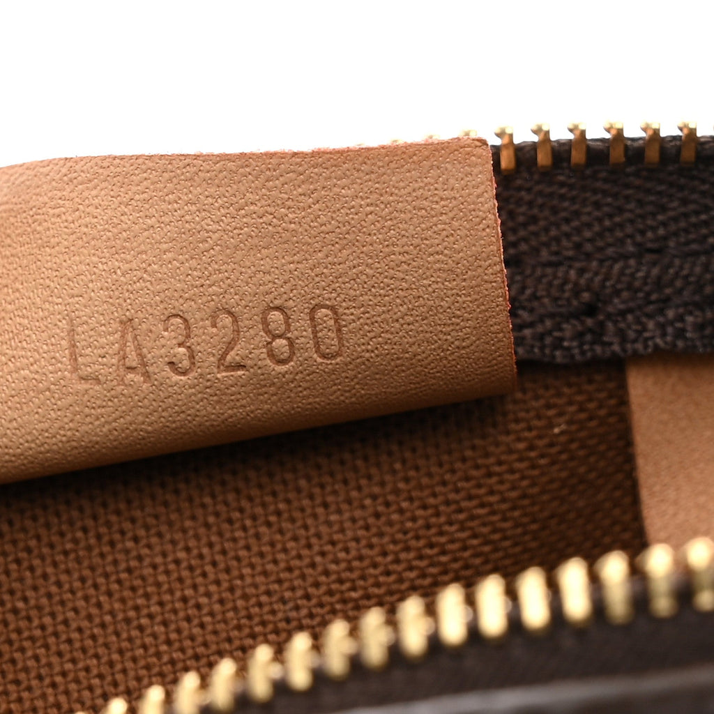 Monogram Nano Speedy