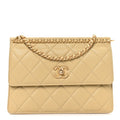 Caviar Quilted Chain Frame Flap  Light Green