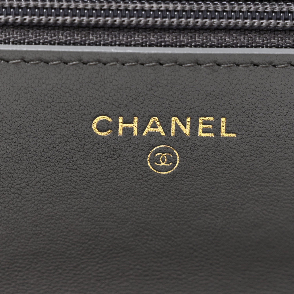 Lambskin Quilted Chanel 19 Wallet On Chain WOC Grey