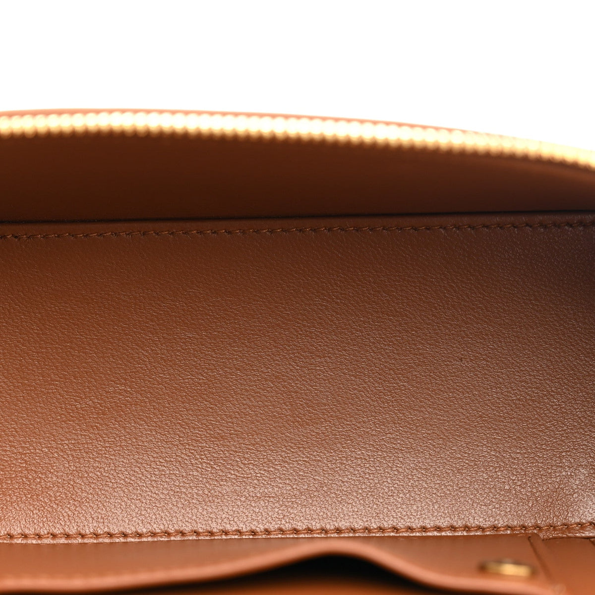 Canvas Calfskin Mini Gaby Vanity Case  Desert Dust Brick