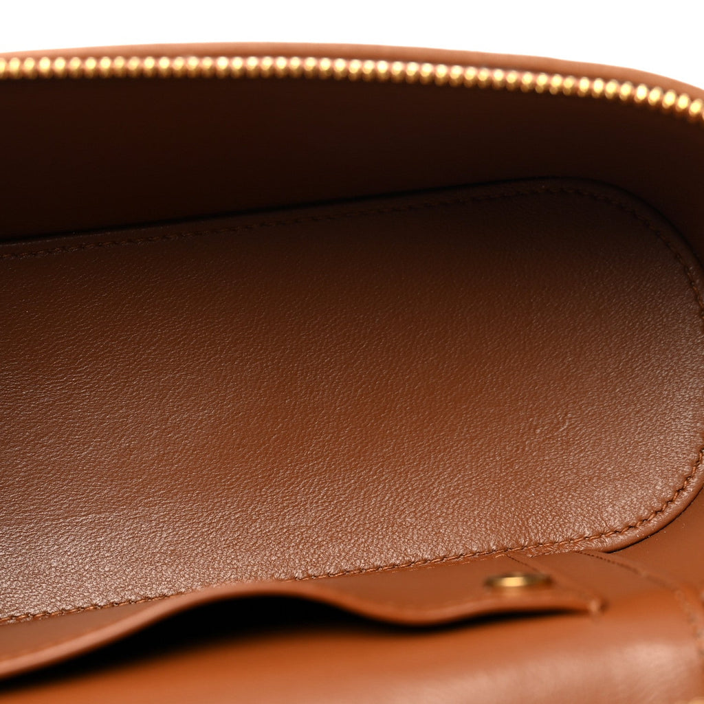 Canvas Calfskin Mini Gaby Vanity Case Desert Dust Brick