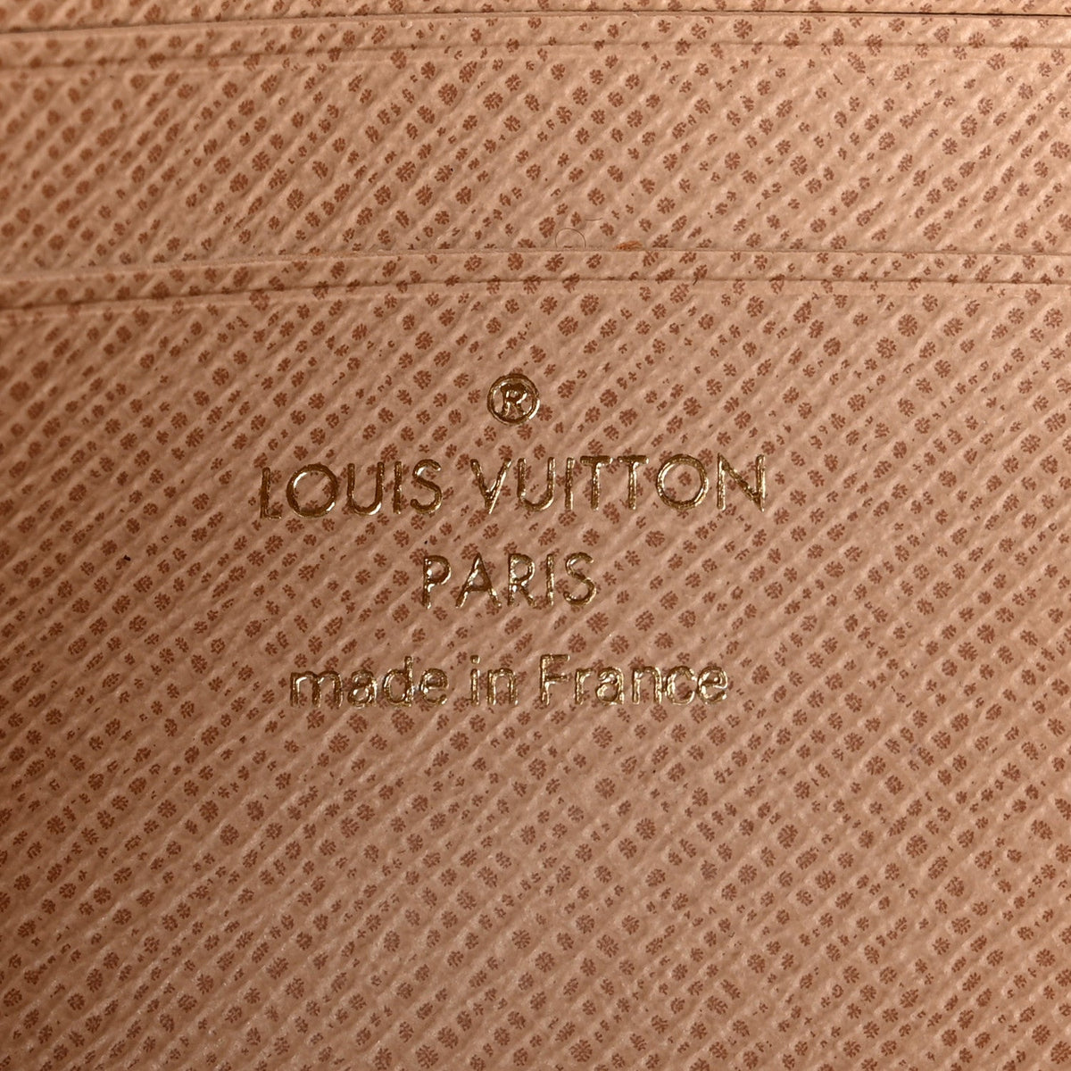 Monogram Dune Ivy Wallet On Chain