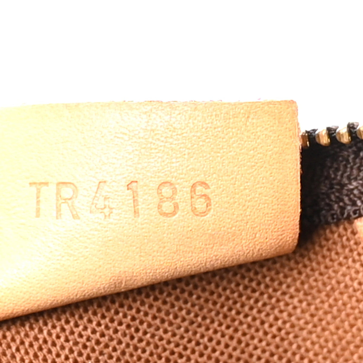 Monogram Nano Speedy