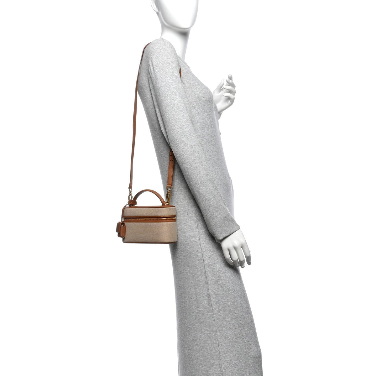 Canvas Calfskin Mini Gaby Vanity Case  Desert Dust Brick
